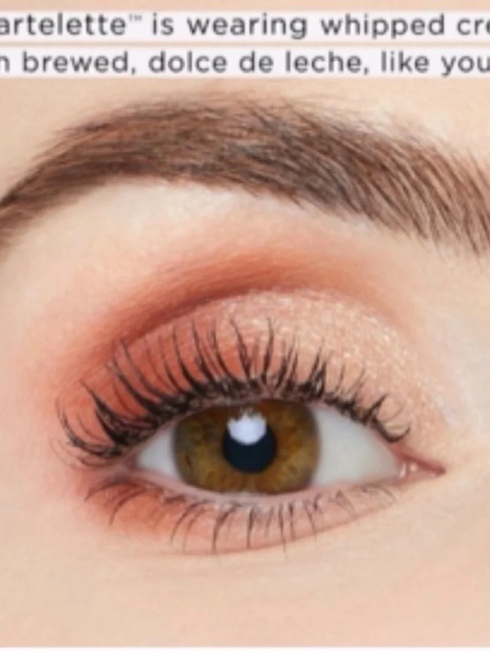tarte sweet double